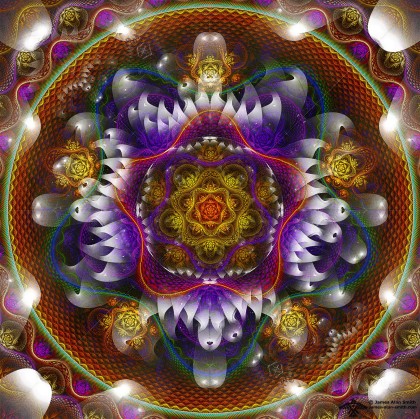 Starfish Lotus Mandala by James Alan Smith