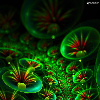 Space Lily by James Alan Smith