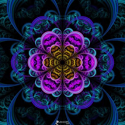 Blooming fractal flower by James Alan Smith