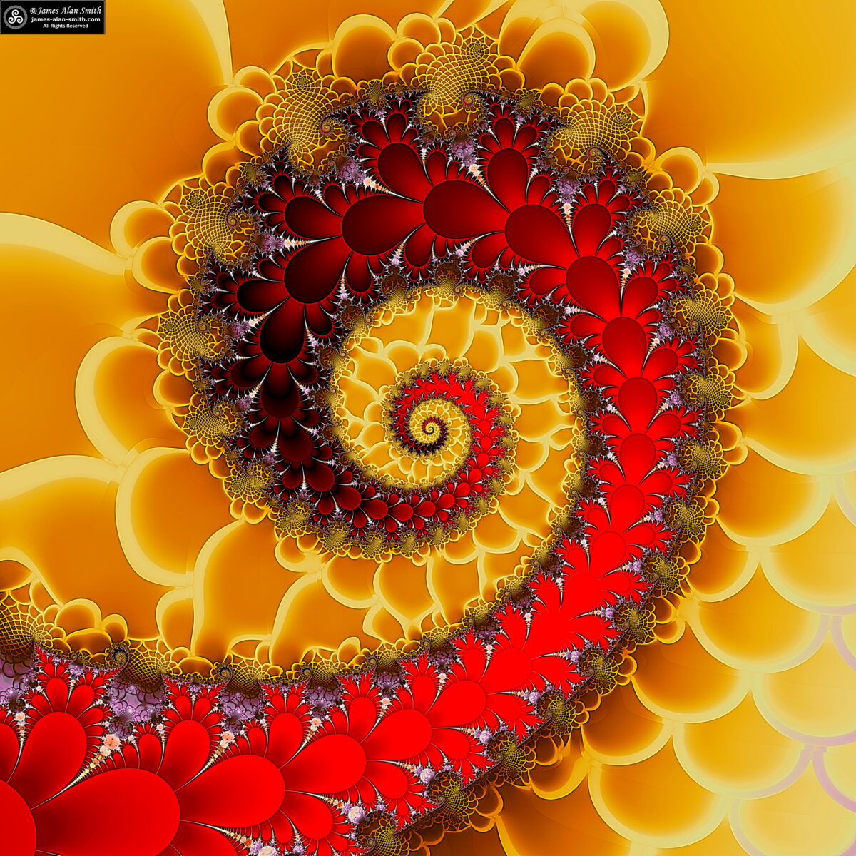 Just a Fractal Spiral: Artwork by James Alan Smith
