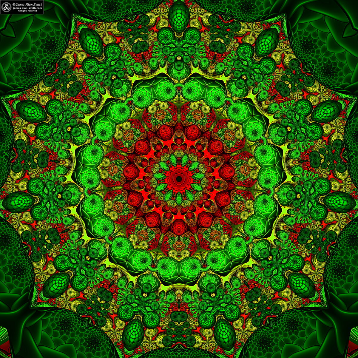 Xmas 2021 Mandala: Artwork by James Alan Smith