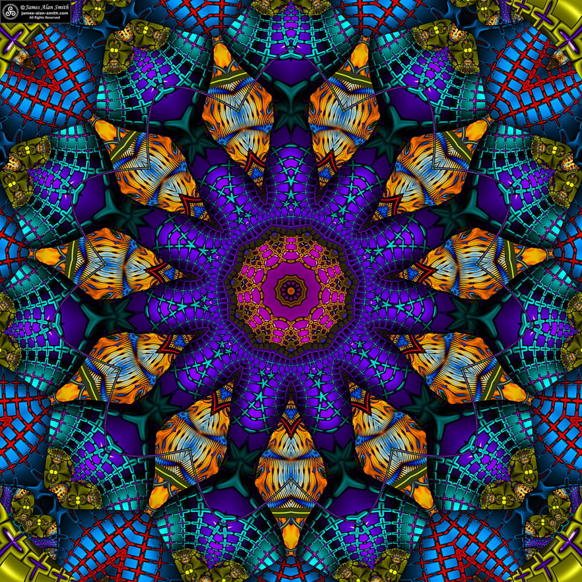 Whale Tail Mandala: Artwork by James Alan Smith